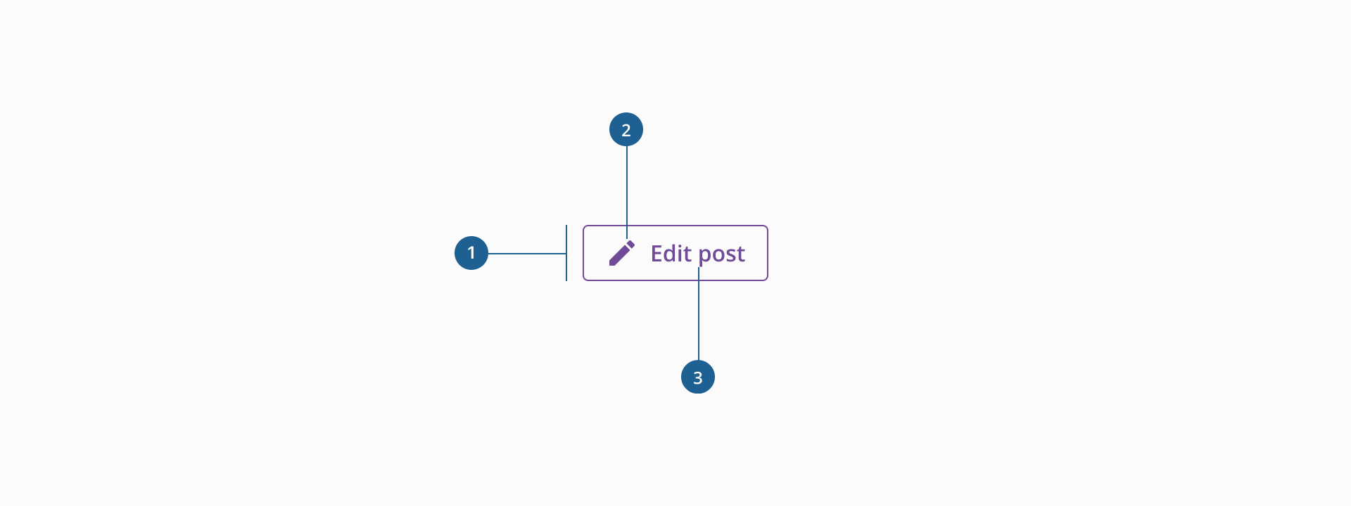Button's anatomy