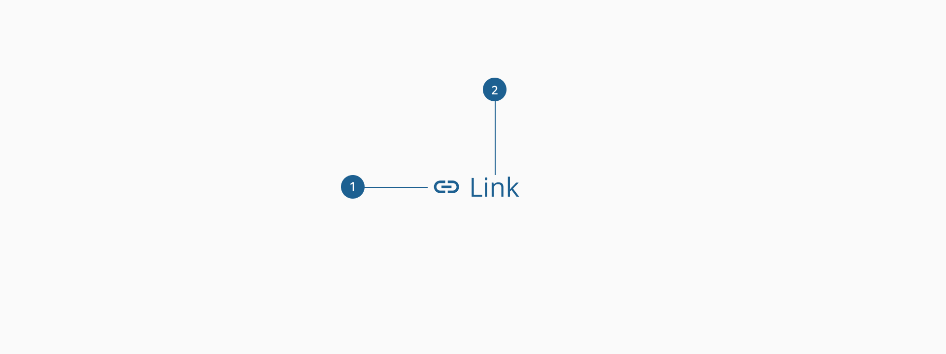 Link's anatomy