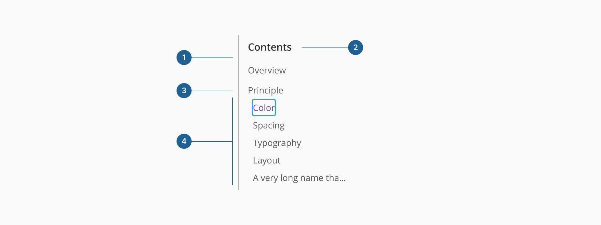 Quick nav anatomy