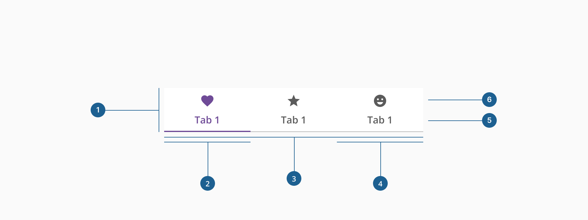 Tabs anatomy